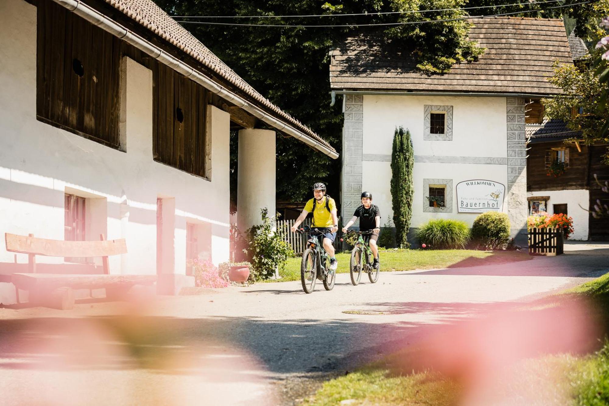 Vila Familienbauernhof Glawischnig-Hofer Gmünd Exteriér fotografie